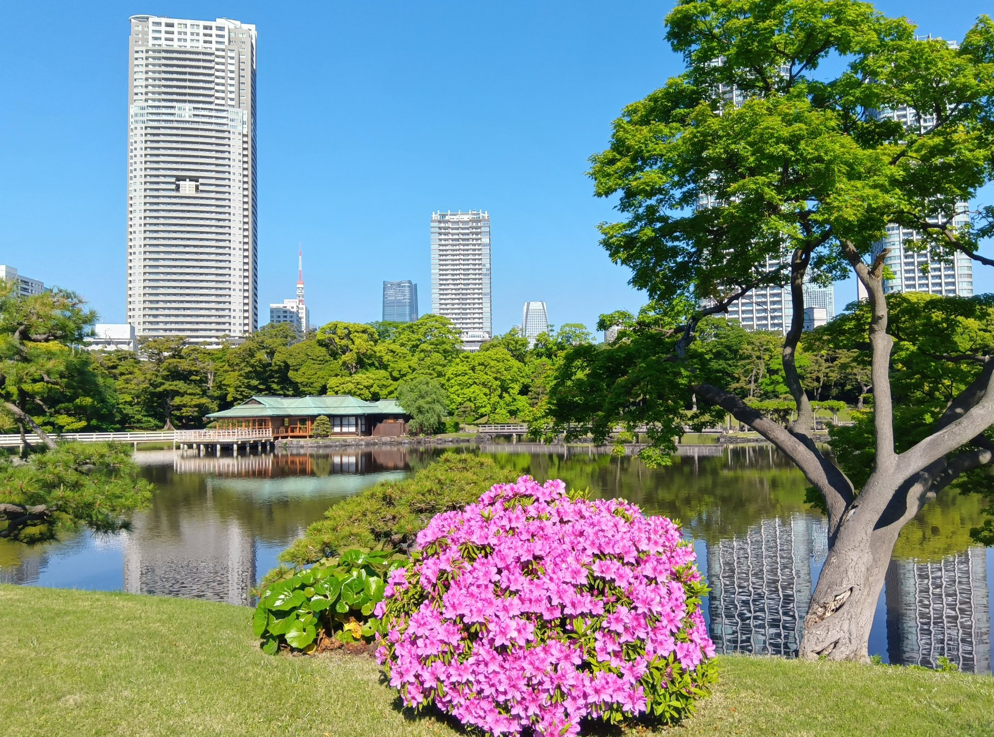 浜離宮恩賜庭園 on X: 
