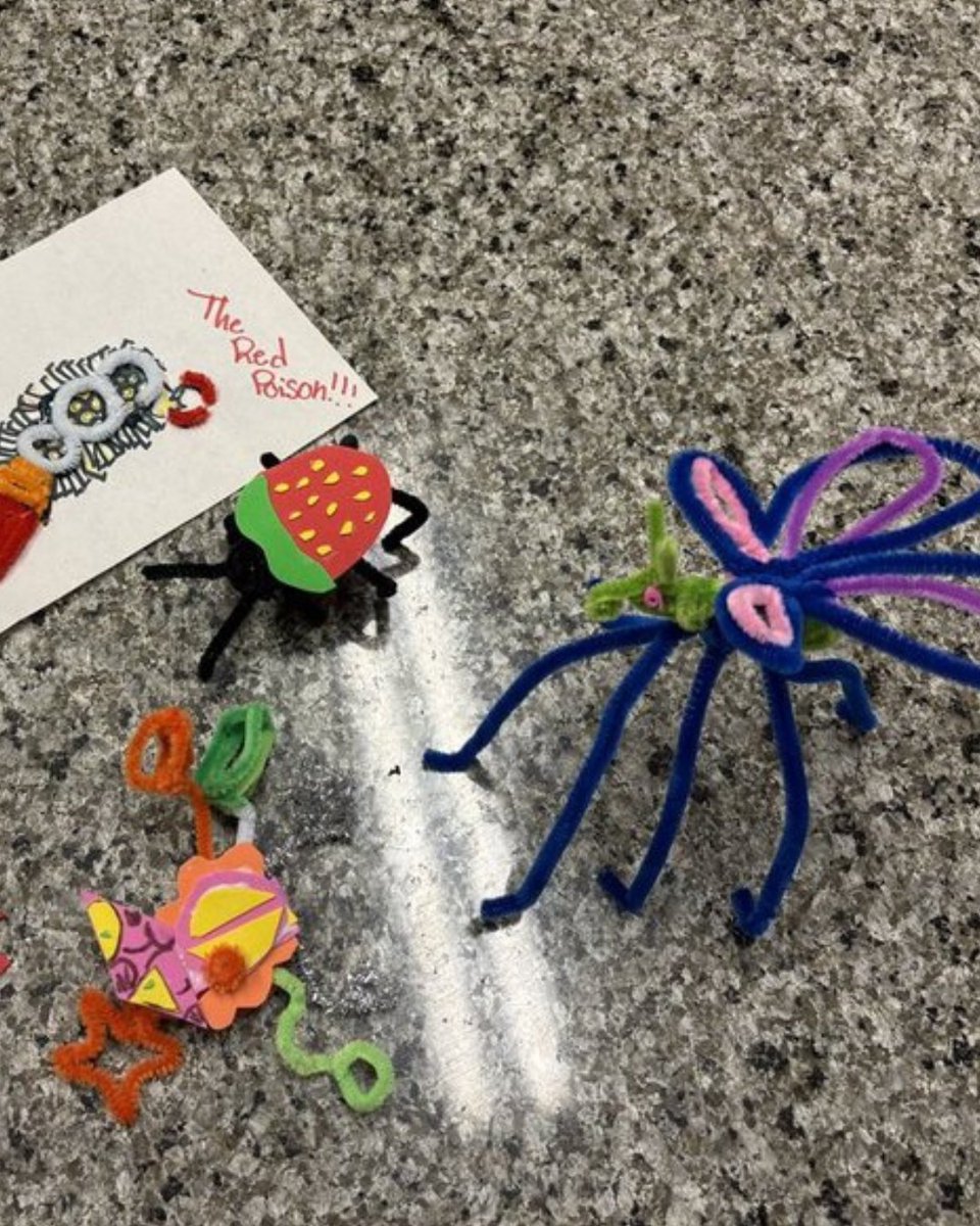 🔍 All bugs are insects—but not all insects are bugs!
During our latest activity, students collected, observed, and classified their finds, diving into the traits that separate true bugs from other insects.