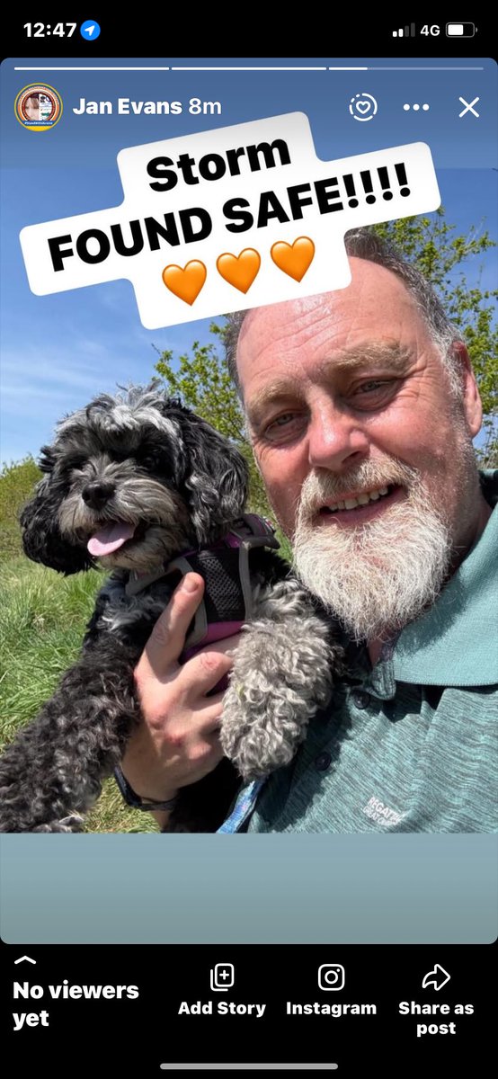 Help Find ‘Me’ - Chester tweet media