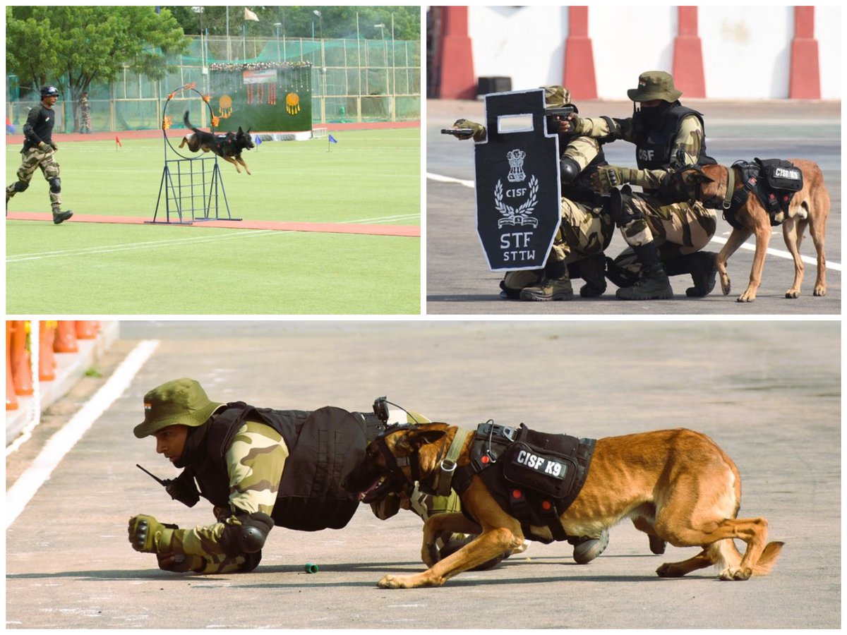 CISFWB_Odisha's tweet image. &quot;Unwavering loyalty, Unwavering protection.&quot;
Trained in explosives detection, CISF K9 troops are a vital part of the CISF&apos;s ability to maintain flawless security in various operational theaters.

#PROTECTIONandSECURITY
#Preparedness