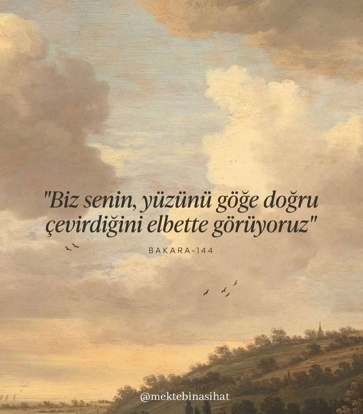 Monna Rosa (@ayaserenat) on Twitter photo 