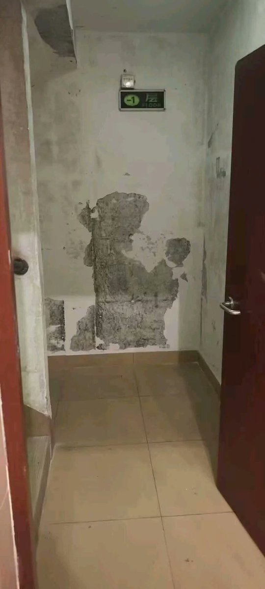 _Mononobe_Futo's tweet image. 