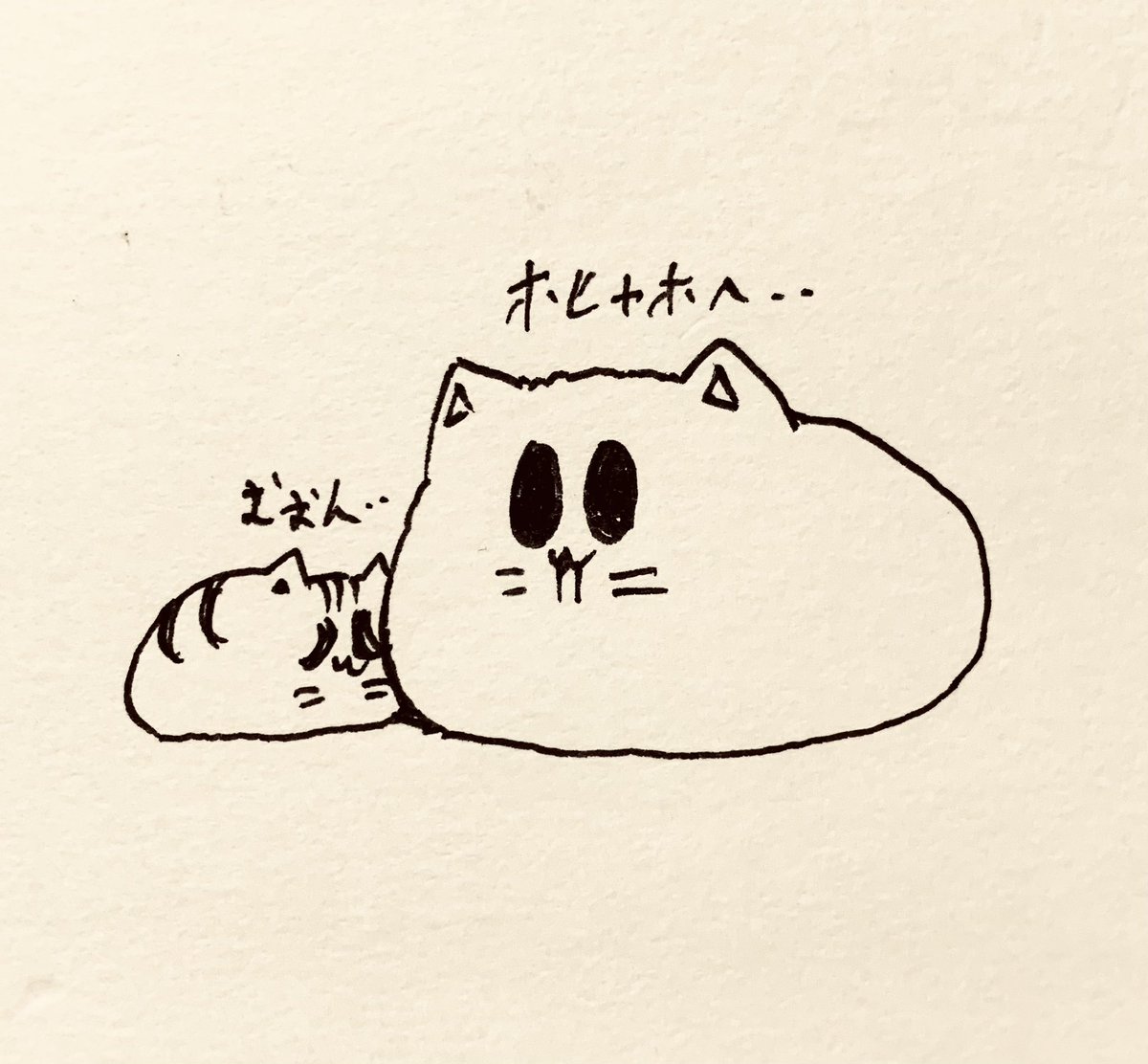 #5月も仲良くしてくれる人リプかいいね
5月もよろしくお願いします🐱 