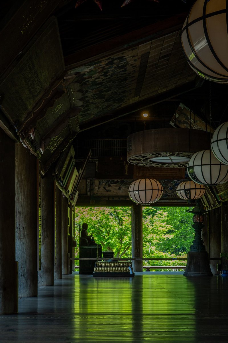 Gruner_Apfel's tweet photo. 奈良の長谷寺まで行ってきました。
みんな撮るやつ真似してパチリ。
今手元に40mm単しかないので、構図作れず盛大にトリミング泣
新緑のリフレクションが綺麗でした。 https://t.co/BkNrmxOBD0