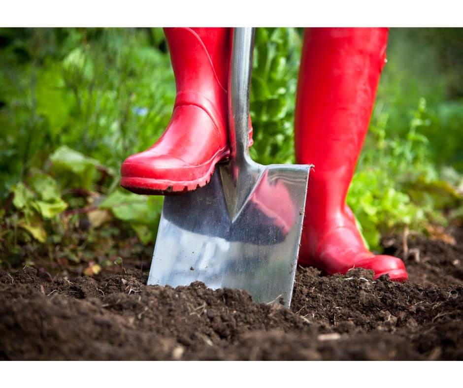 Vacancy alert!!

Wellbeing Works are recruiting a Horticultural Wellbeing Worker. Closing date 8th May. Full details on our website!
trellisscotland.org.uk/current-vacanc…