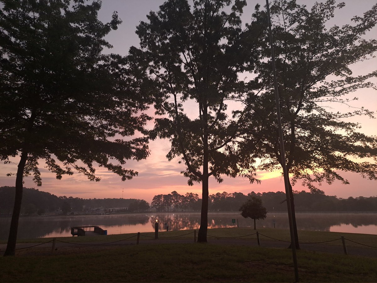 Nathan Woodard tweet media