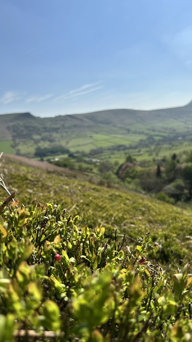 Nahum Ashfield tweet media