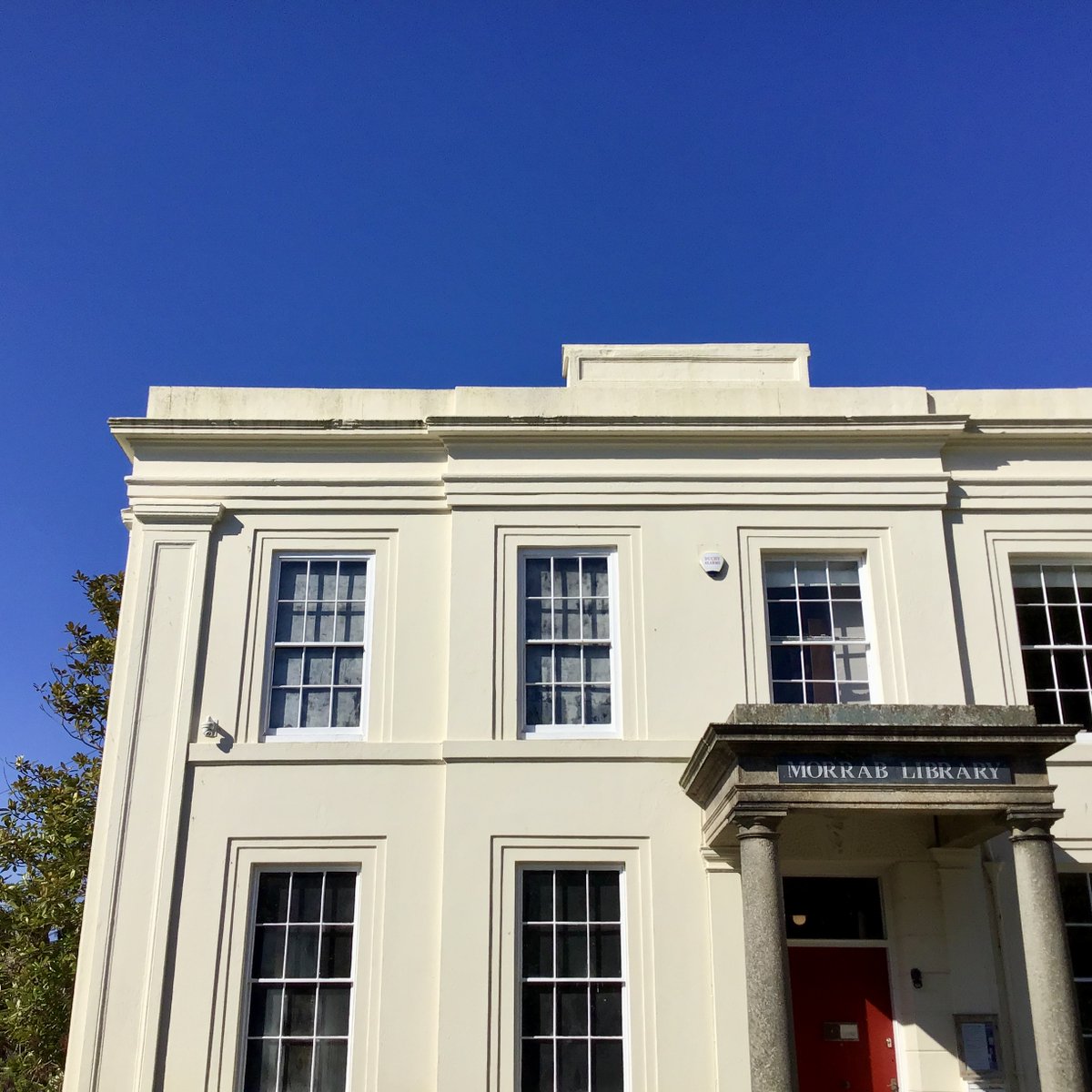 morrablibrary's tweet image. It's another beautiful day here! The sea is sparkling in the distance over the tree tops of @morrabgardens.

#libraryviews #independentlibraries #loveyourlibrary #seaviews #librarywithaview