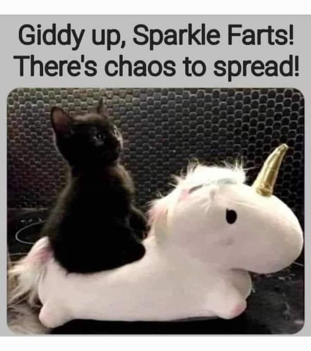 HAHA_LOL_HEHE (@hhlhh_coin) on Twitter photo 