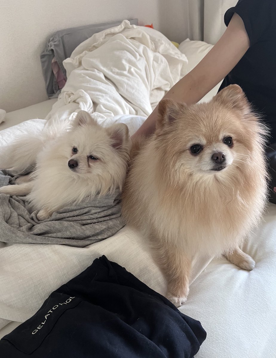 お昼寝はお休みの醍醐味