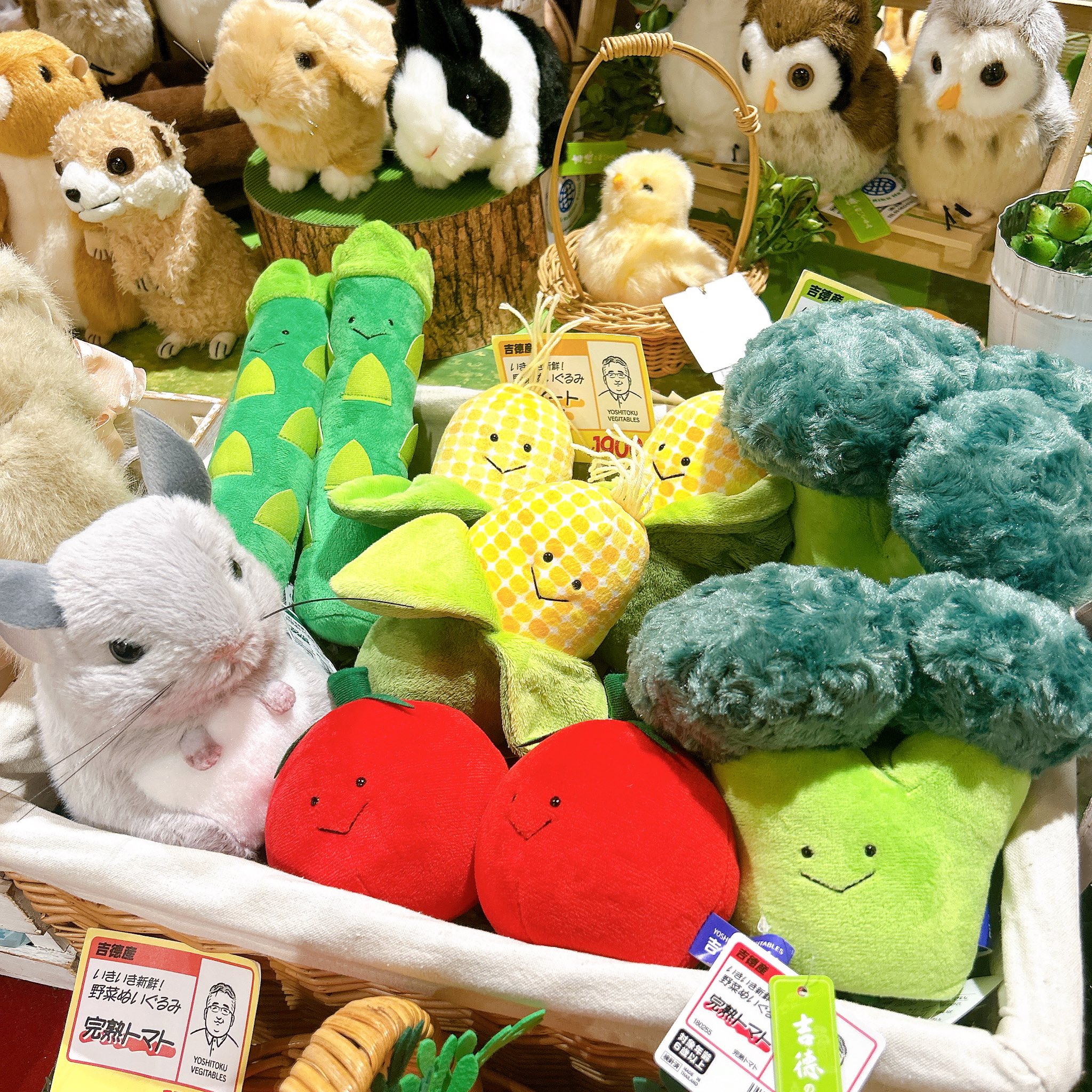 公式】吉徳のぬいぐるみ (@yoshitoku_plush) / X 公式】吉徳のぬいぐるみ (@yoshitoku_plush) / X