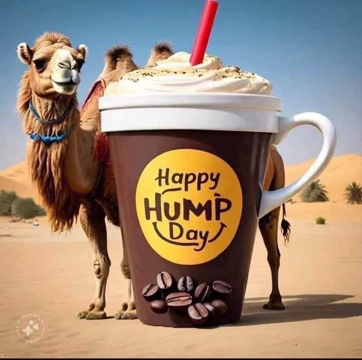 Good morning Patriots 🇺🇸☕️Have a happy hump day! 😁🐫☀️🌼🤗🥰😘❤️🙏