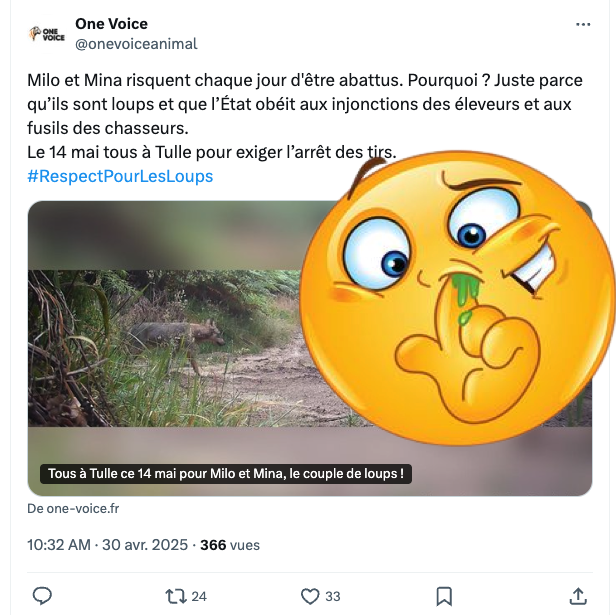 FrancAller_info's tweet photo. Les zozos @onevoiceanimal : « prenons exemple sur les Abruzzes en Italie, où les éleveurs sont habitués aux loups* »
Le #WWF italien : « chaque année en Italie, des centaines de loups sont tués illégalement** »
🤷♂️
#Antispécisme #Vegan #OneVoiceAnimal
#HorsSol #Escrocs
* L'article : https://t.co/9wkTyanUmD
et le tweet :
https://t.co/B2ArFc9eB4
** Le post du WWF (entre bien d'autres)
https://t.co/ZGvL1JFnn6