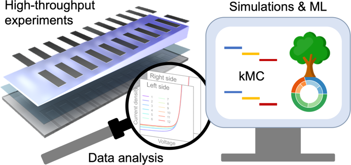 🔬 +700 devices, 20 material systems, Machine learning + Monte Carlo simulations
➡️ This research is a leap toward industrial #OPV and sustainable solar tech for real-world impact.
💡 Collaborators: <a href="/HeidelbergU/">Heidelberg University</a> <a href="/UDC_gal/">Universidade da Coruña</a> <a href="/eurecat_news/">Eurecat</a>
Read the paper: advanced.onlinelibrary.wiley.com/doi/10.1002/ae…