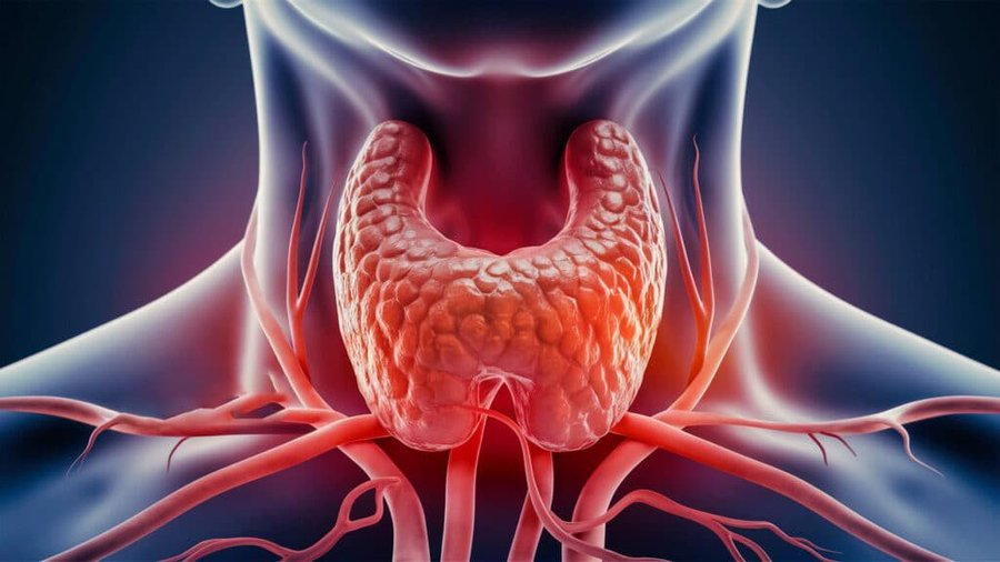 Traducido del inglés al
La tiroides lo controla todo:

• Claridad mental
• Energía y estado de ánimo
• Peso y metabolismo

Cuando se rompe, todo tu cuerpo sufre.

Aquí encontrará todo lo que necesita saber sobre la salud de la tiroides (y cómo solucionarla):