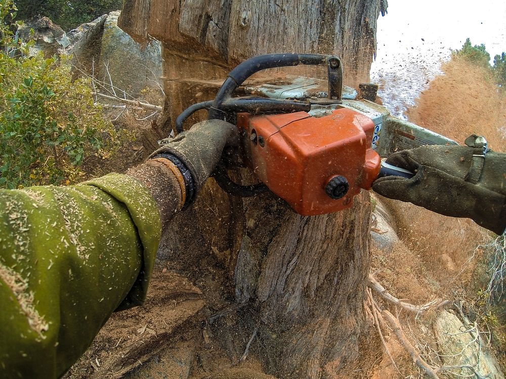 There will be tree removal work on Conant Rd between Newburgh and New Searles 4/30 8am to 3pm with a lane closure.