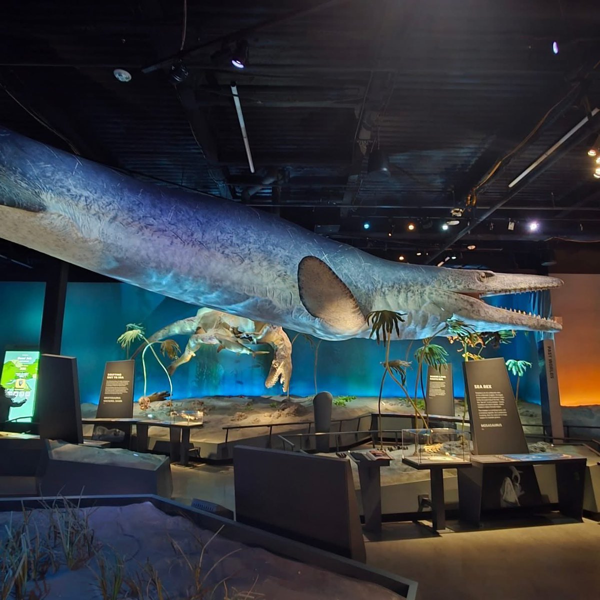 TM9380's tweet photo. Some more of the models at the Edelman Fossil Park I hadn’t seen before(plus more of the enormous mosasaur)… https://t.co/mMGXjCdnSh