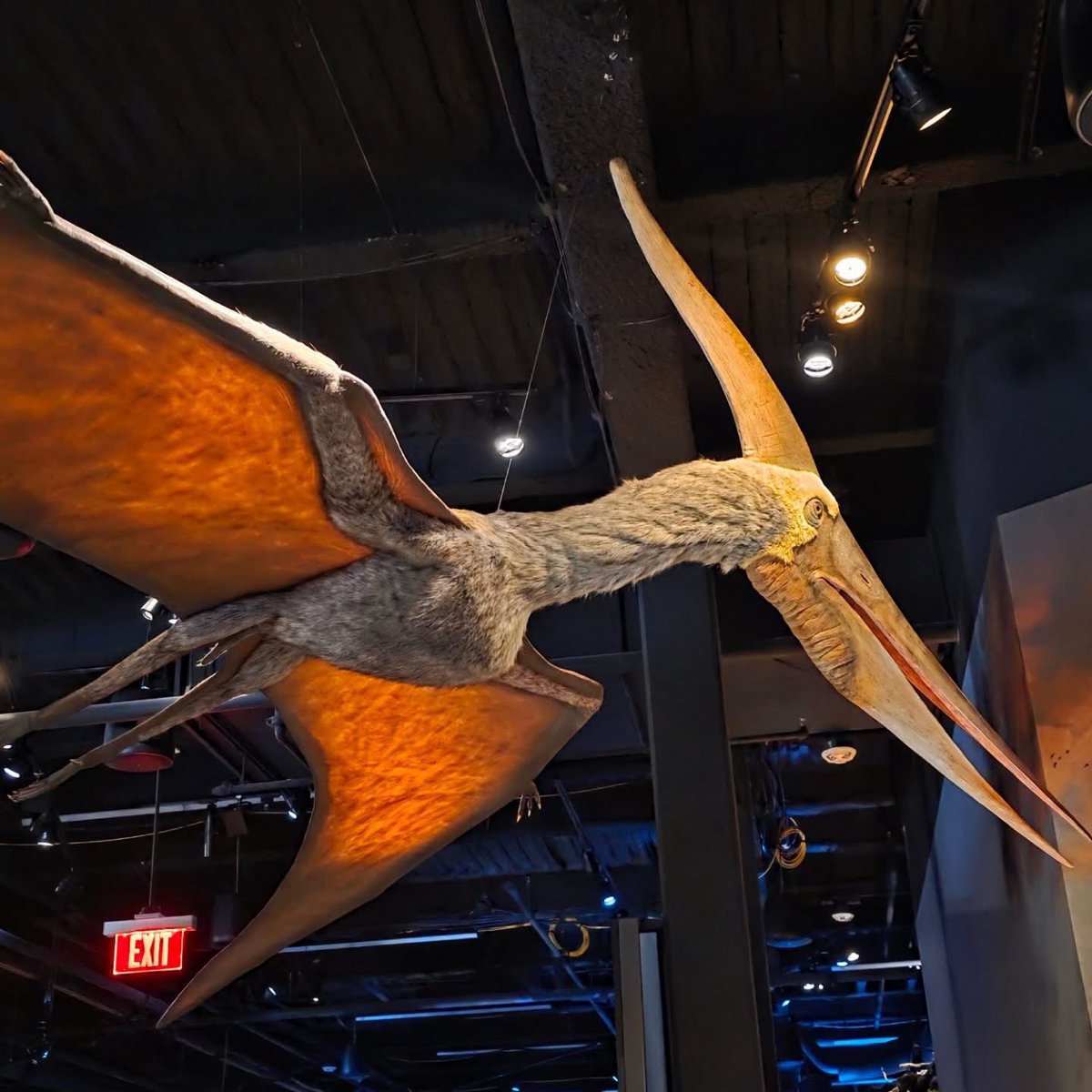 TM9380's tweet photo. Some more of the models at the Edelman Fossil Park I hadn’t seen before(plus more of the enormous mosasaur)… https://t.co/mMGXjCdnSh