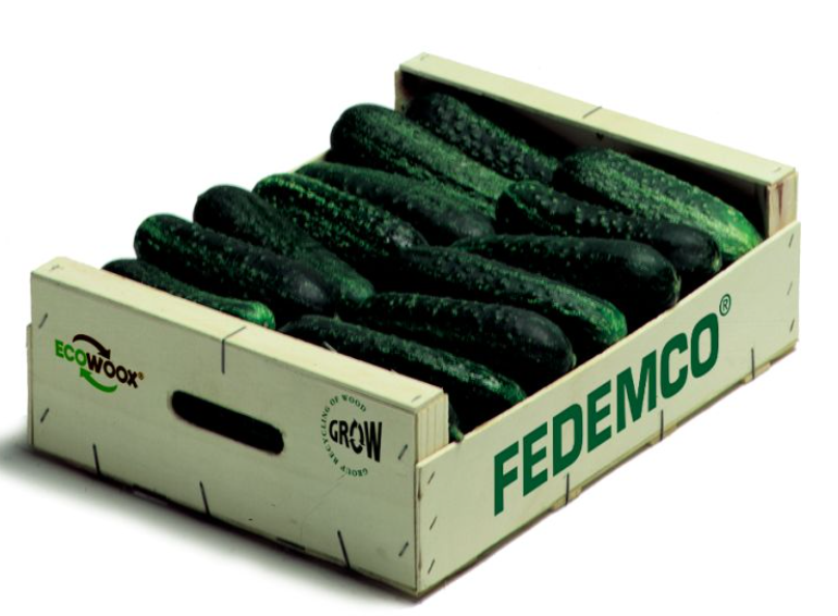 ¡Temporada de Pepino! 🥒Refrescante, ligero y lleno de beneficios para tu salud:

En FEDEMCO, celebramos lo mejor de la naturaleza y innovamos en soluciones de embalaje sostenibles que cuidan del producto… y del planeta. 🌍♻️

<a href="/5aldiaspain/">5 al día</a>