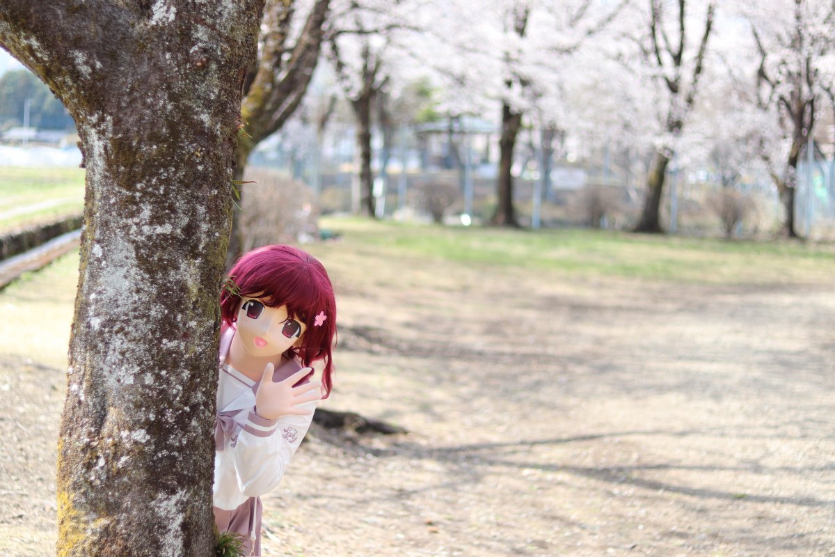 こんばんは🌙
お疲れさまでした🌸

📷：PONYさん