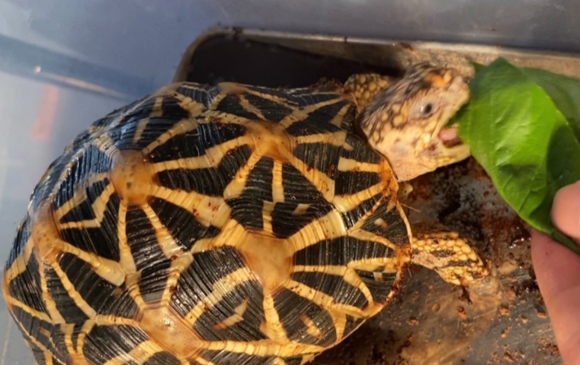 月1投稿！守れてる ギリギリ