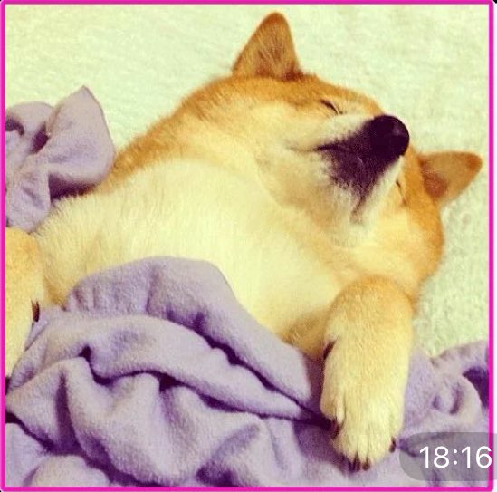 _linakiedis's tweet image. сегодня стикер со спящим крендельком наколола
и вам показываю