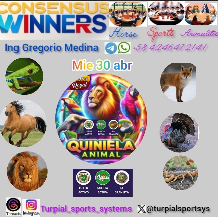 Consensus winners animalitos miércoles 30 abril <a href="/marrpacheco/">rafael pacheco</a> <a href="/Elgalle16252342/">Robert P.M El gallero</a> <a href="/m_estiben/">𝕏 Estiben Hernández </a> <a href="/mastbets365/">MasterBets365 | Apuestas deportivas</a> <a href="/Micasinocom/">MiCasino.com | Apuestas deportivas</a> <a href="/tu365oficial/">Tu Apuesta 365</a> <a href="/Triunfobet1/">TriunfoBet | Apuestas Deportivas</a> <a href="/Tuapuesta1111/">Tuapuesta11-11</a> <a href="/grupo757_/">Grupo 757</a> <a href="/grupocasagranD/">grupocasagrandeoficial</a>