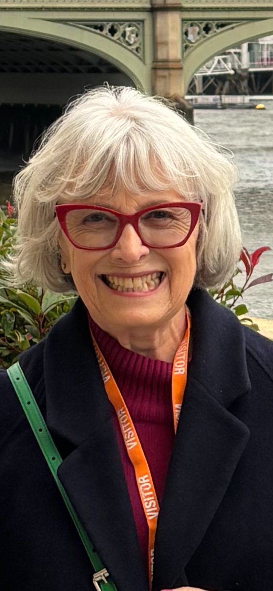Judith Potts founded Esme’s Umbrella, the only charity dedicated to raising awareness of Charles Bonnet Syndrome. Judith continues her full-time, unpaid work. She speaks at conferences, runs events, contributes to Webinars, raises funds and writes extensively about the subject...