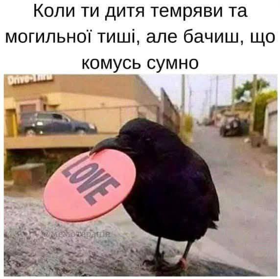 фантастика tweet media