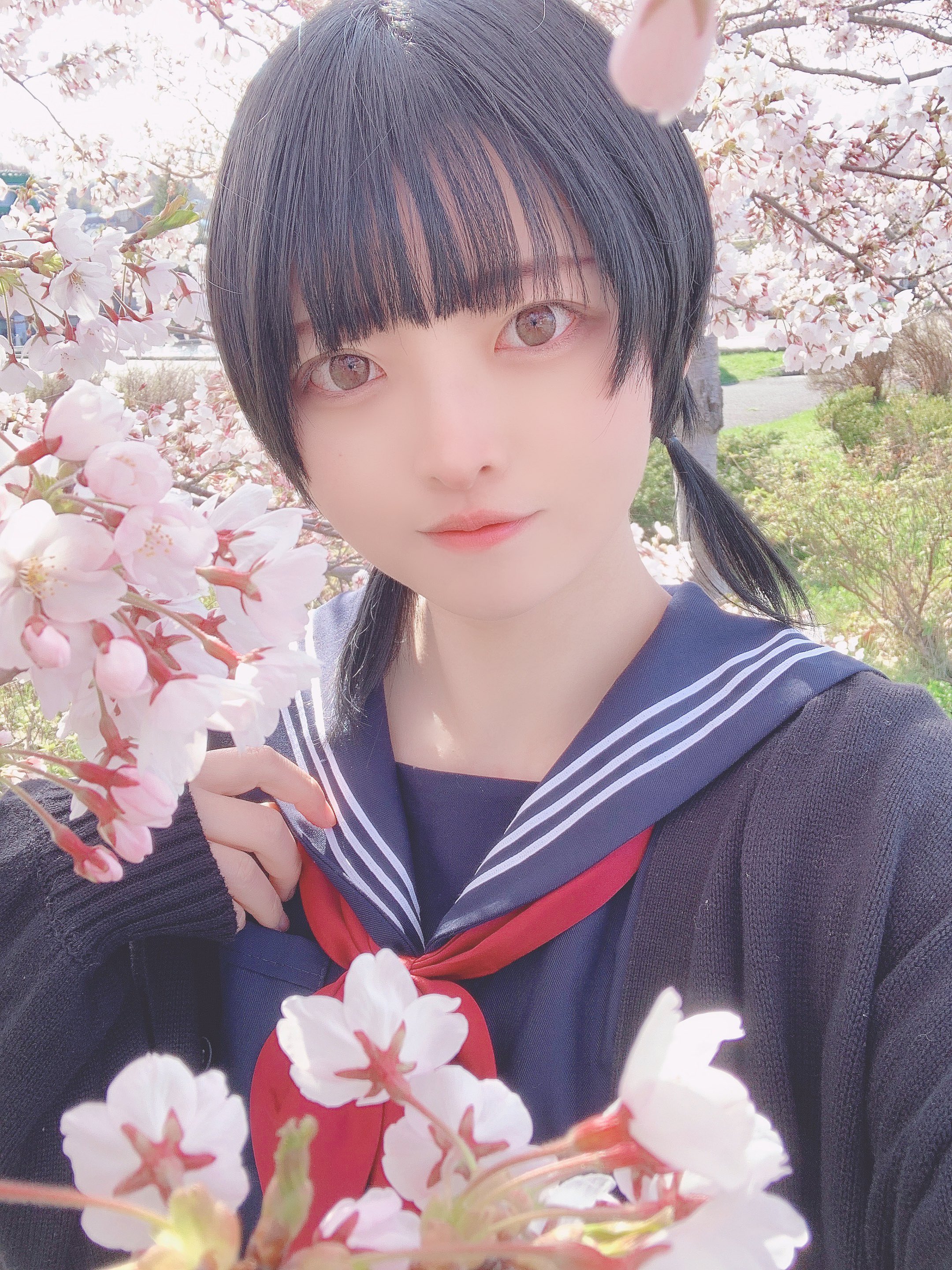 あーちゃん (@pm_1202p) / X あーちゃん (@pm_1202p) / X
