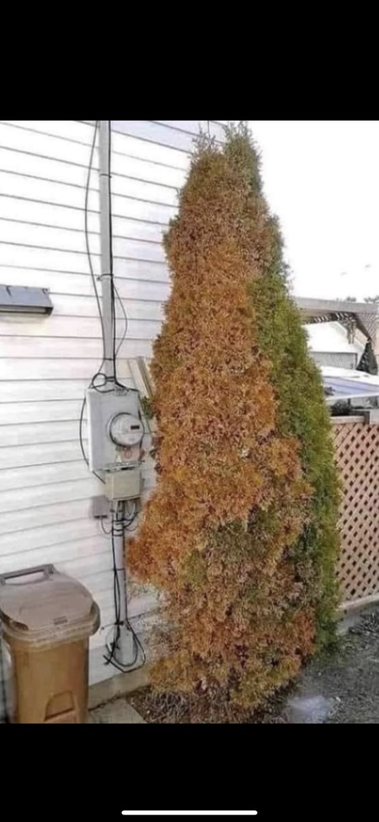 BGatesIsaPyscho's tweet image. ‘SMART Meters are Safe &amp;amp; Effective’

Also SMART Meters 👇