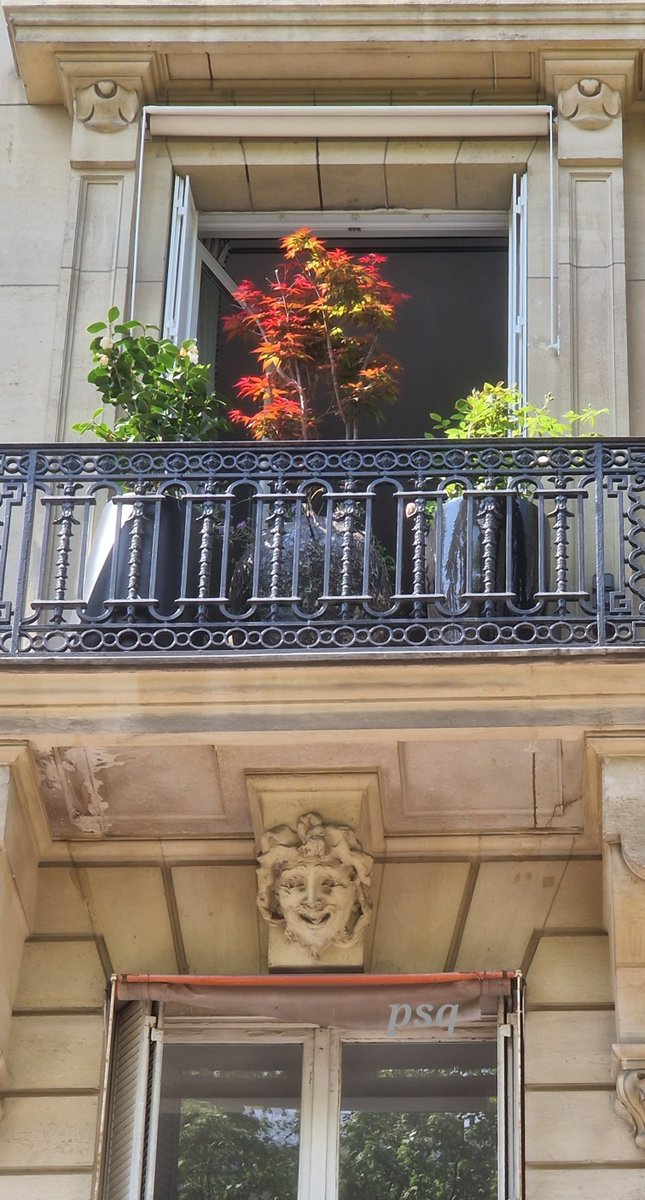 Psquale7's tweet image. Bonjour - Buongiorno