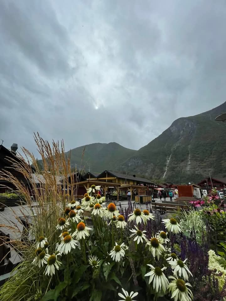 Daina Malik tweet media