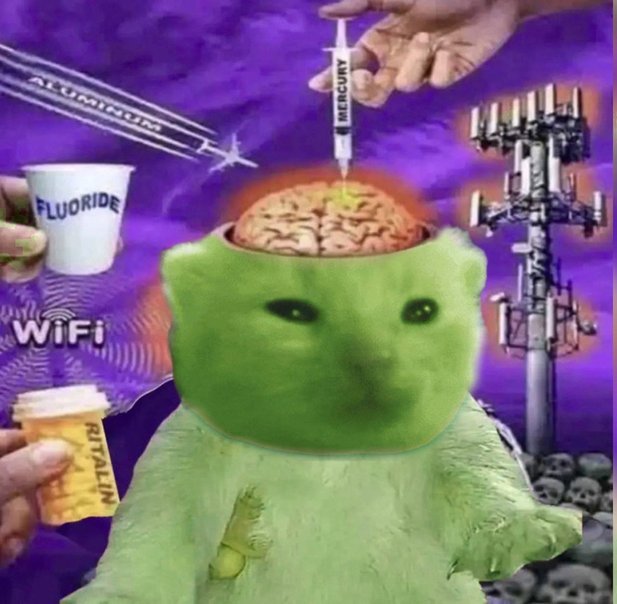 how it feels to be an innoncent glorp in an evil world