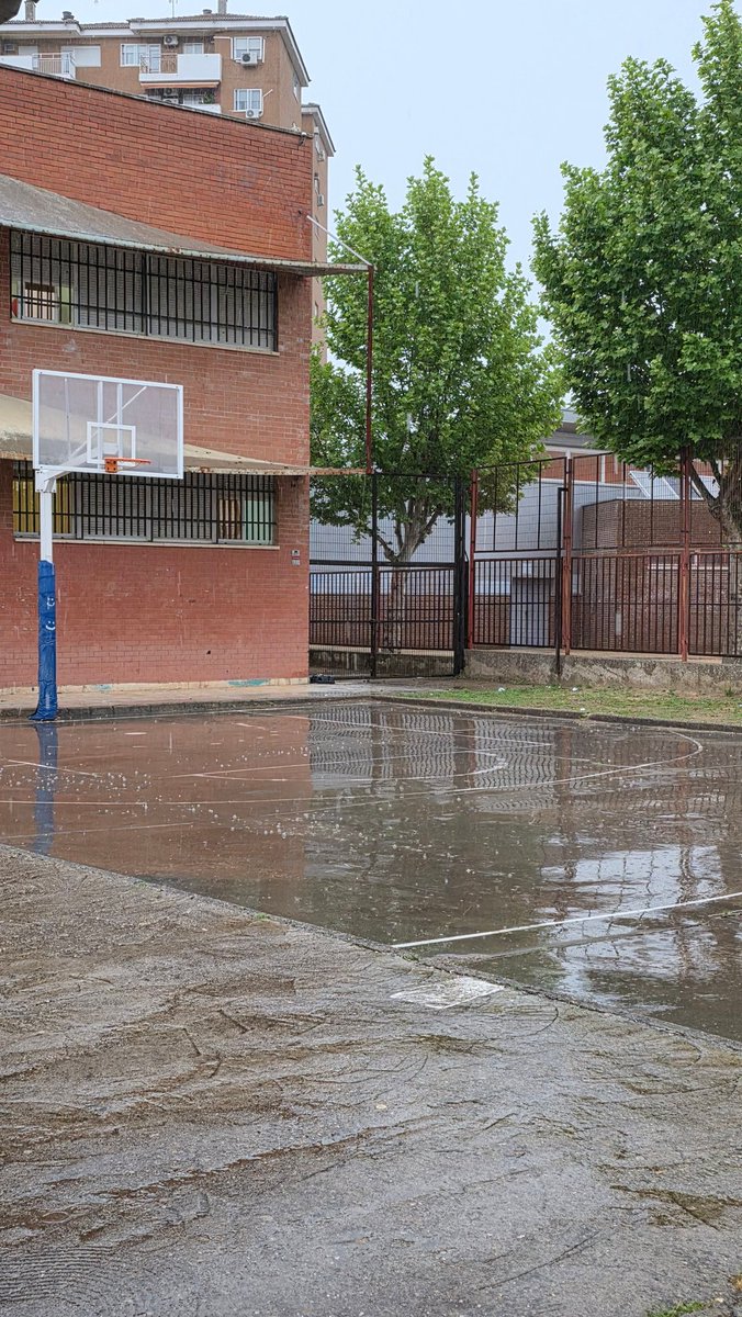 Tengo la sensación que cuando llueve, vienen más alumn@s a clase...será porque acompañados se lleva mejor el mal tiempo???
#Educación #fpenvalor