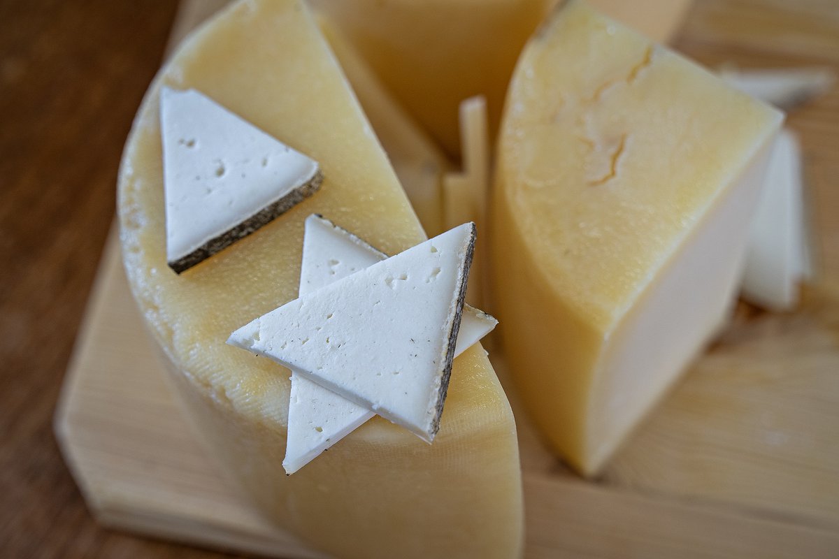 BcnAgraria's tweet image. 🧀 #Sabies que, aquest cap de setmana, #Vic es converteix en la capital del formatge artesà català? 

Amb +200 formatges i 40 formatgeries, #Lactium és una cita imprescindible per descobrir la riquesa del sector!

ℹ️ vicfires.cat/lactium-festa-…

#BCNAgrària