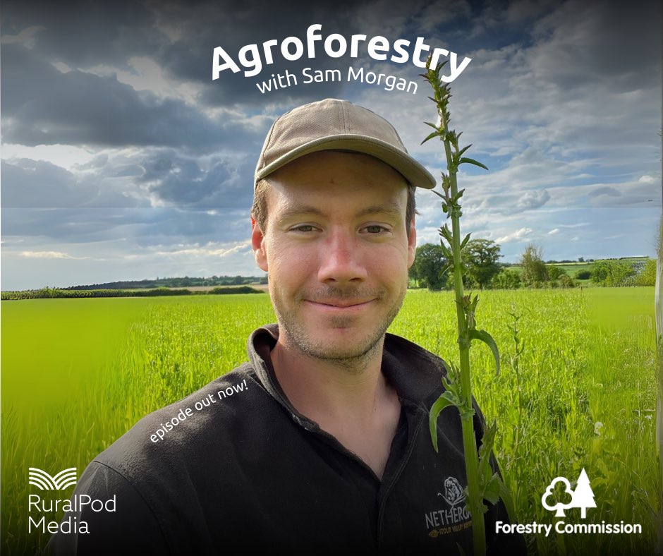 Meet the Farmers Podcast (@mtf_podcast) on Twitter photo Episode 2 of our #agroforestry mini-series produced in association with the <a href="/ForestryComm/">Forestry Commission</a> is out now! 🎙️
In this second episode we talk about silvopasture and silvoarable agroforestry systems with guest Sam Morgan. Listen here: linktr.ee/meetthefarmers Episode 2 of our #agroforestry mini-series produced in association with the <a href="/ForestryComm/">Forestry Commission</a> is out now! 🎙️
In this second episode we talk about silvopasture and silvoarable agroforestry systems with guest Sam Morgan. Listen here: linktr.ee/meetthefarmers