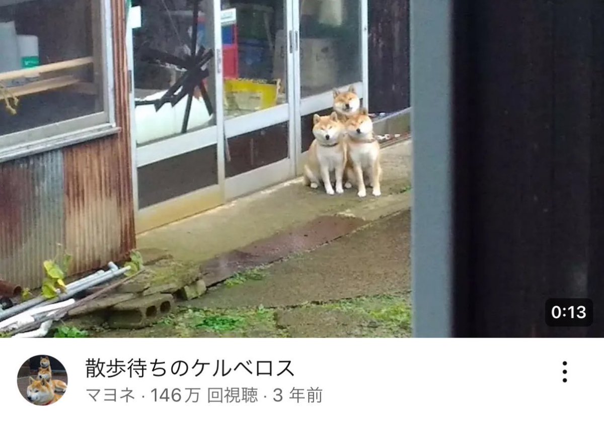 散歩待ちのケルベロス