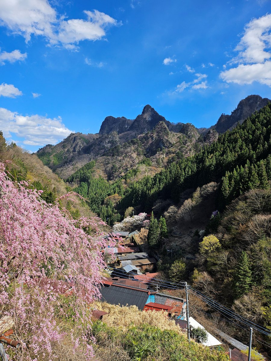 HonyRainbow's tweet photo. 同じ場所から見る風景も
季節で大きく変わる
この村で気に入った景色を
今日も見に行った

#移住 https://t.co/JSpJOlqi9L
