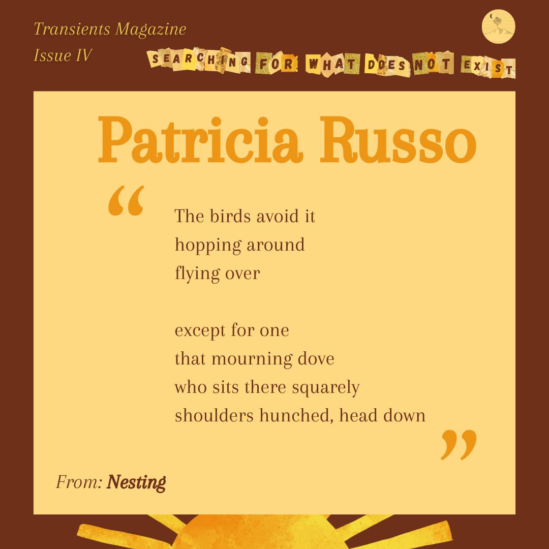 TransientsMag - subs 🌏CLOSED🌎 tweet media