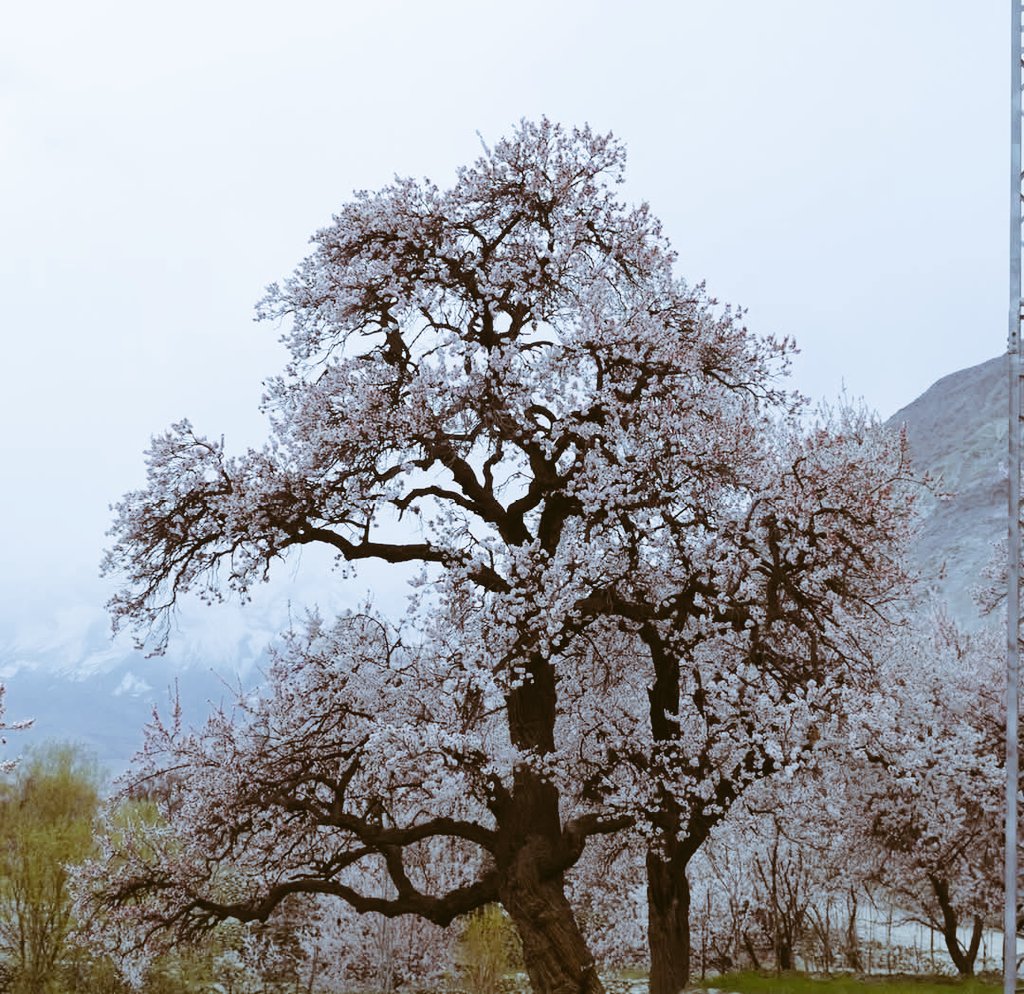 The real issues: climate change, overpopulation, poverty, violence against women &amp; minorities — not war.
Let’s unite for peace &amp; justice.
Say NO to jingoism.
NO to war.
NO to weaponizing our land &amp; resources.
Make life better for the common person.