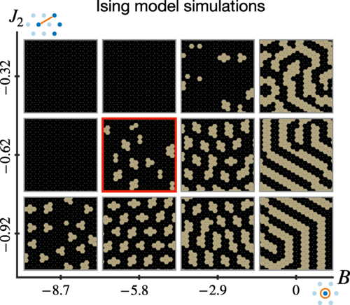 PhysRevResearch's tweet photo. Cell-biology effective interpretation of the Ising model describing skin color patterning, Muhamet Ibrahimi, Szabolcs Zakany, and Michel C. Milinkovitch #Biophysics https://t.co/lKoxWwTzHb https://t.co/TbdMmtsgvz