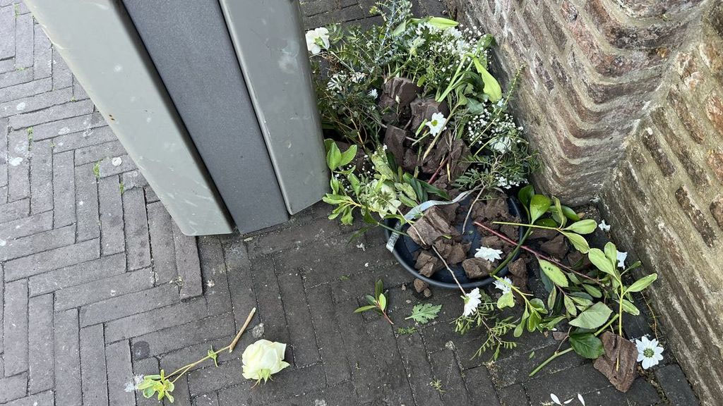 Sander Sassen tweet media