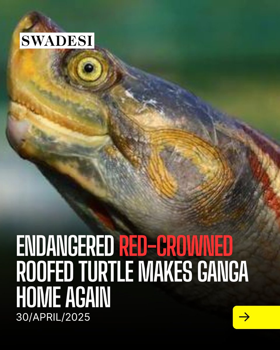 Swadesi tweet media