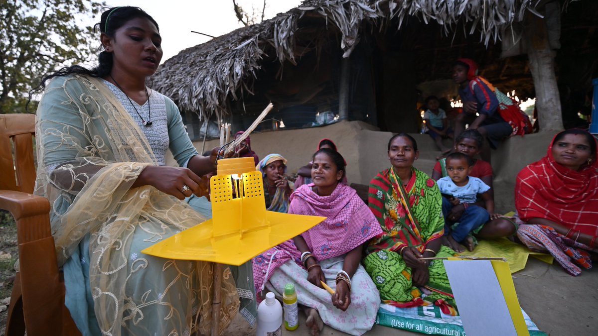 IFPRISAO's tweet image. #GrowthforAll: CRFM specifically targets support for women farmers, marginalized communities, and emerging districts — ensuring no one is left behind in Odisha’s agricultural transformation. 🌍👩‍🌾
#SocialInclusion #CRFM
