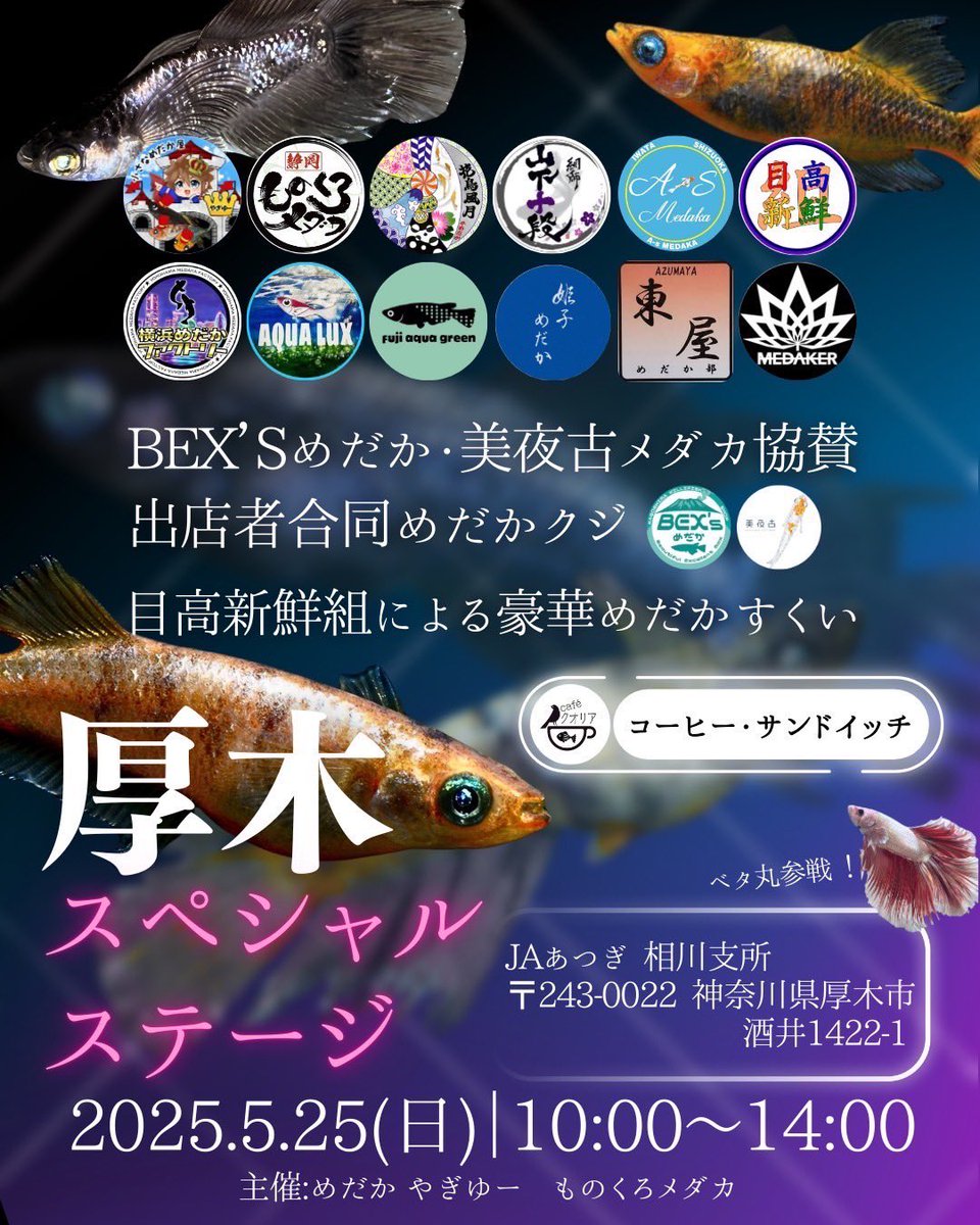 Takahiro281's tweet photo. イベント告知  
今回は目高新鮮組メンバーで参戦
広島県からは今村氏が初参加🤩
今村氏はメダカ協会品評会第7回最優秀賞など沢山の受賞経験者🏆
その今村氏のメダカを購入出来るチャンスです♪是非狙ってゲットして下さい。 https://t.co/TzyaobAsuB