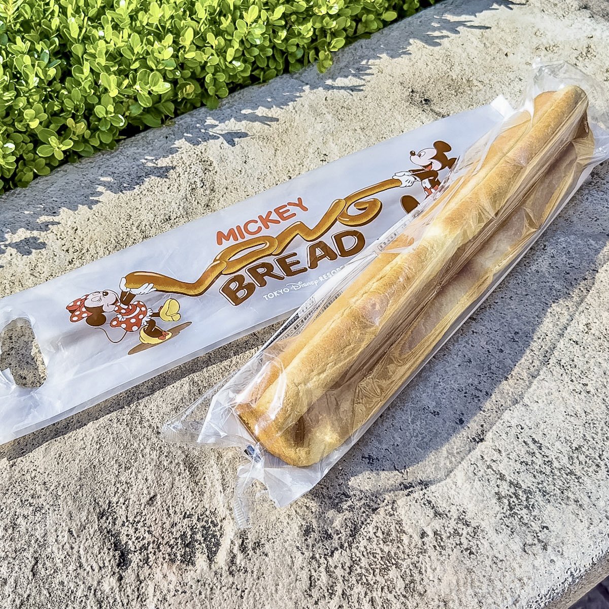 お持ち帰り専用！ 東京ディズニーリゾート ミッキーロングパン（塩