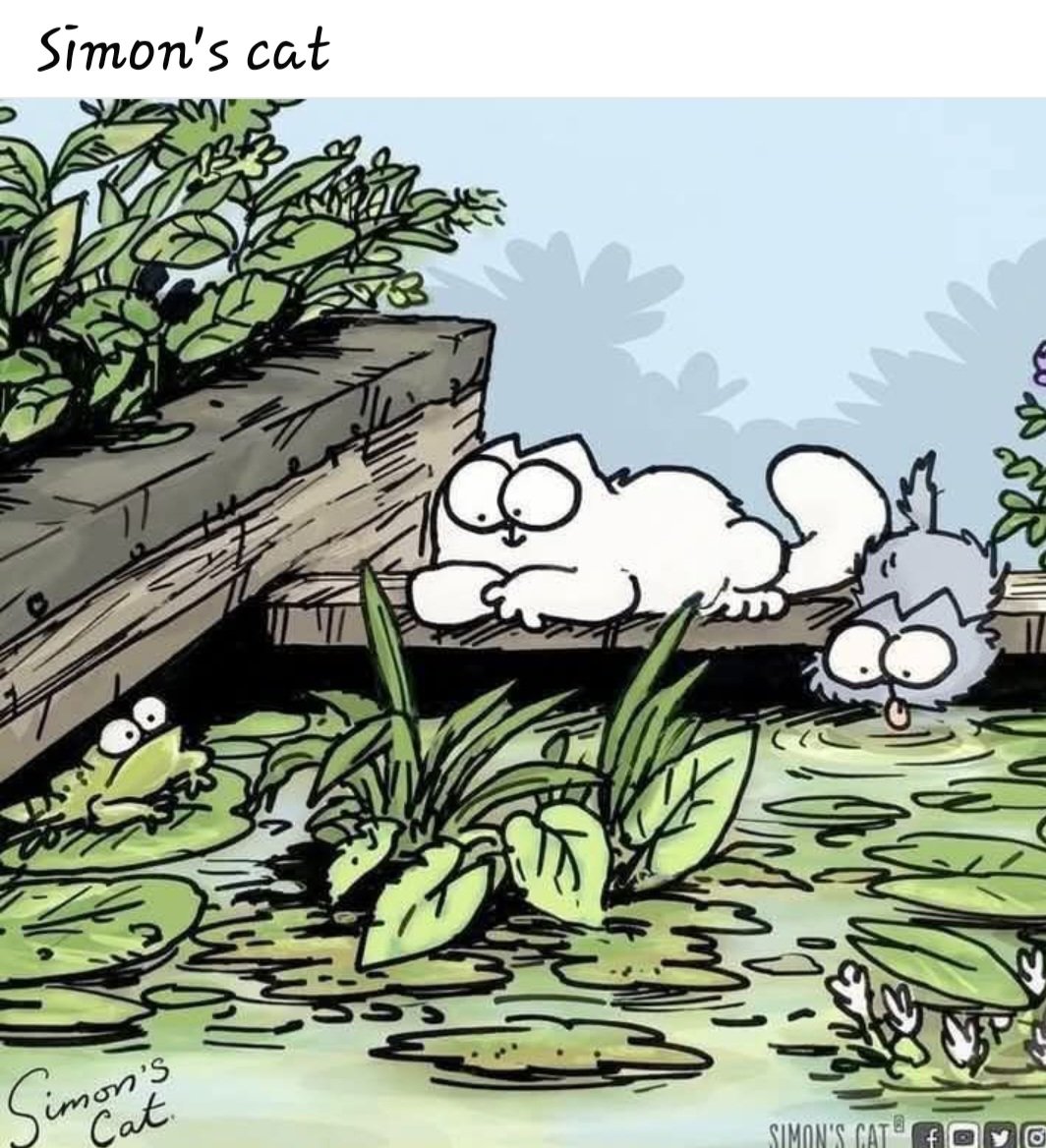 Hi AA⚘️
Thought you might like this. 
❤️⚘️❤️⚘️❤️⚘️❤️⚘️🌞🐸🐸 xxxx have a great sunny day darling xxx