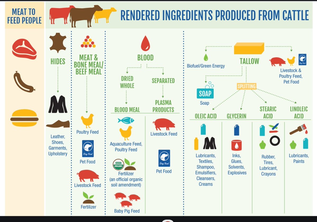 HvhKenzy's tweet photo. #GoodMorning
#Goedemorgen
#RenderingAnimals
#VegansCare
Look at the #ingredients of your p.e. #Beauty #skincare
#petfood .
@Free_from_harm
https://t.co/O9HhC9wDg0
https://t.co/GD5HBFFdSX https://t.co/8oZiGHOouK