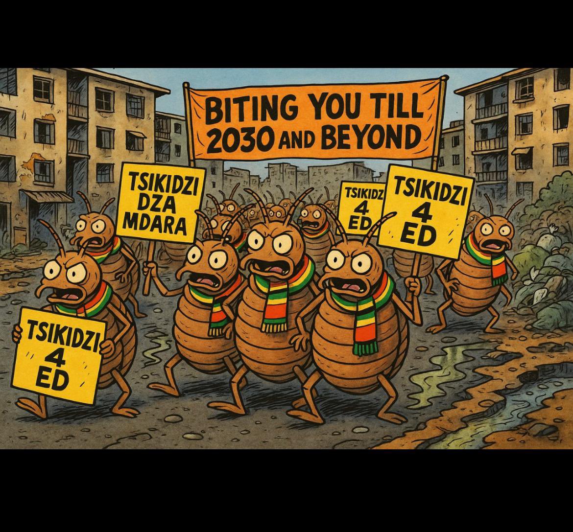 “When loyalty becomes parasitic — bedbugs in scarves march for more years of suffering, while the people itch for real change.”this picture displays a lot
#ZaNupfmustgo
#humanrightsmatters